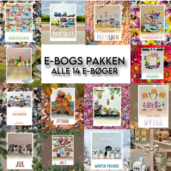 E-BOGS PAKKE (ALLE 14 DIGITALE BØGER)